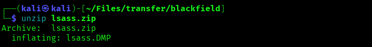 Unzipping LSASS File