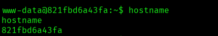 Docker Environment Confirmed