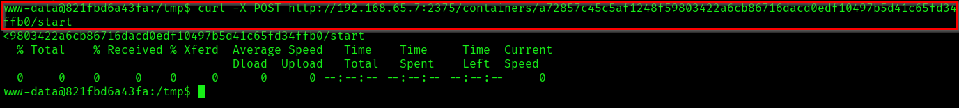 Starting docker container