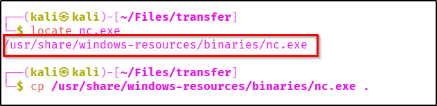 Found nc.exe
