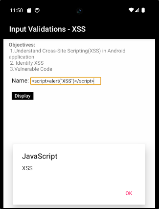 XSS Exploited