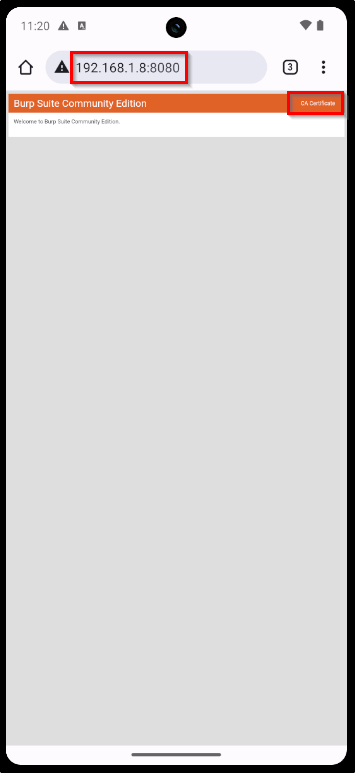 Burpsuite certificate