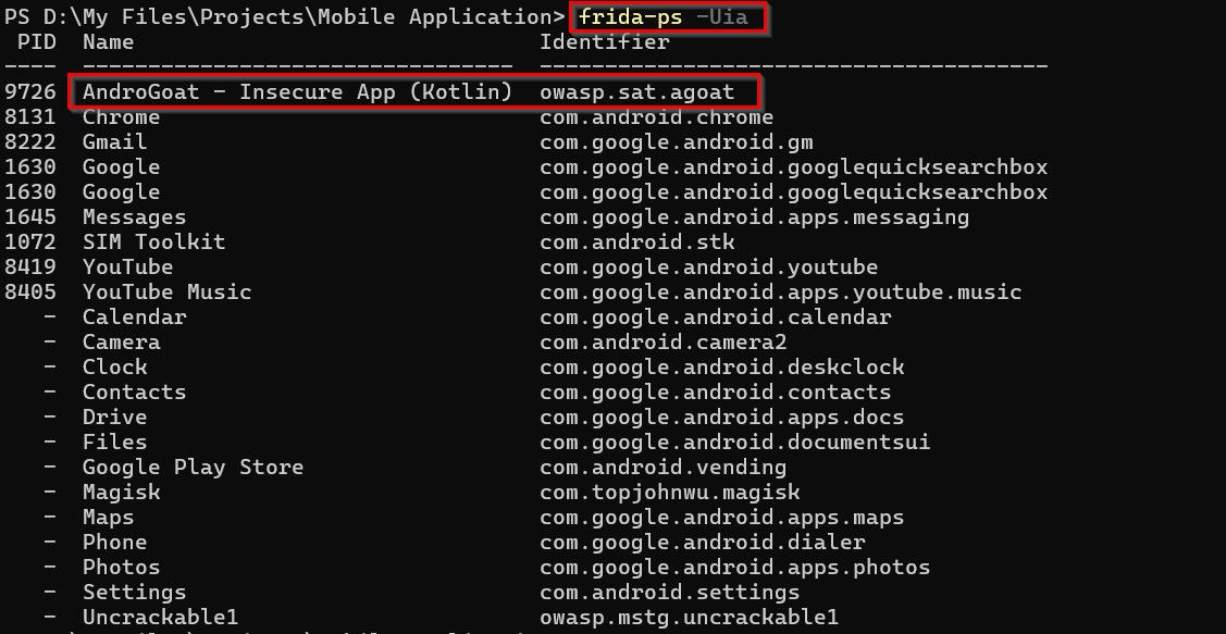 Frida execution confirmed
