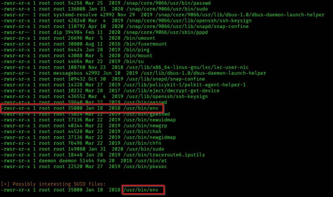 Found SUID File
