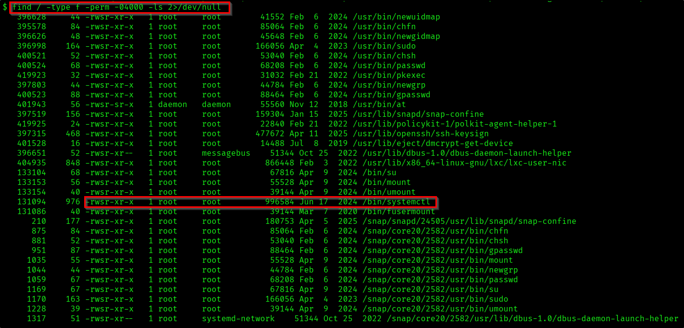 SUID Enabled Binaries