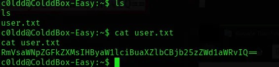 Found an encoded flag