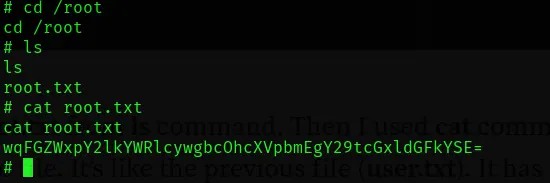 Captured encoded root flag